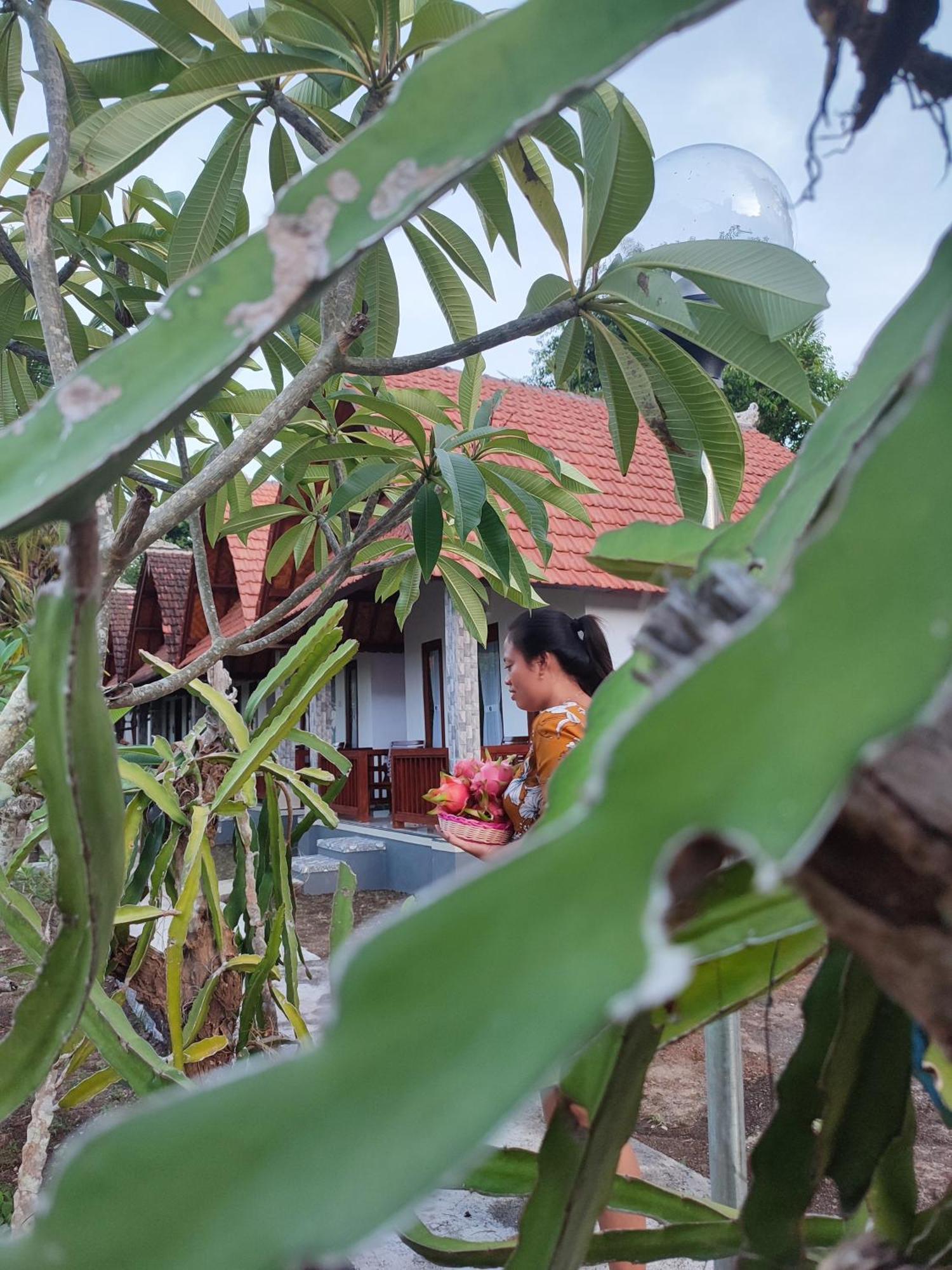 Santhi Guna Bungalow Toyapakeh Luaran gambar